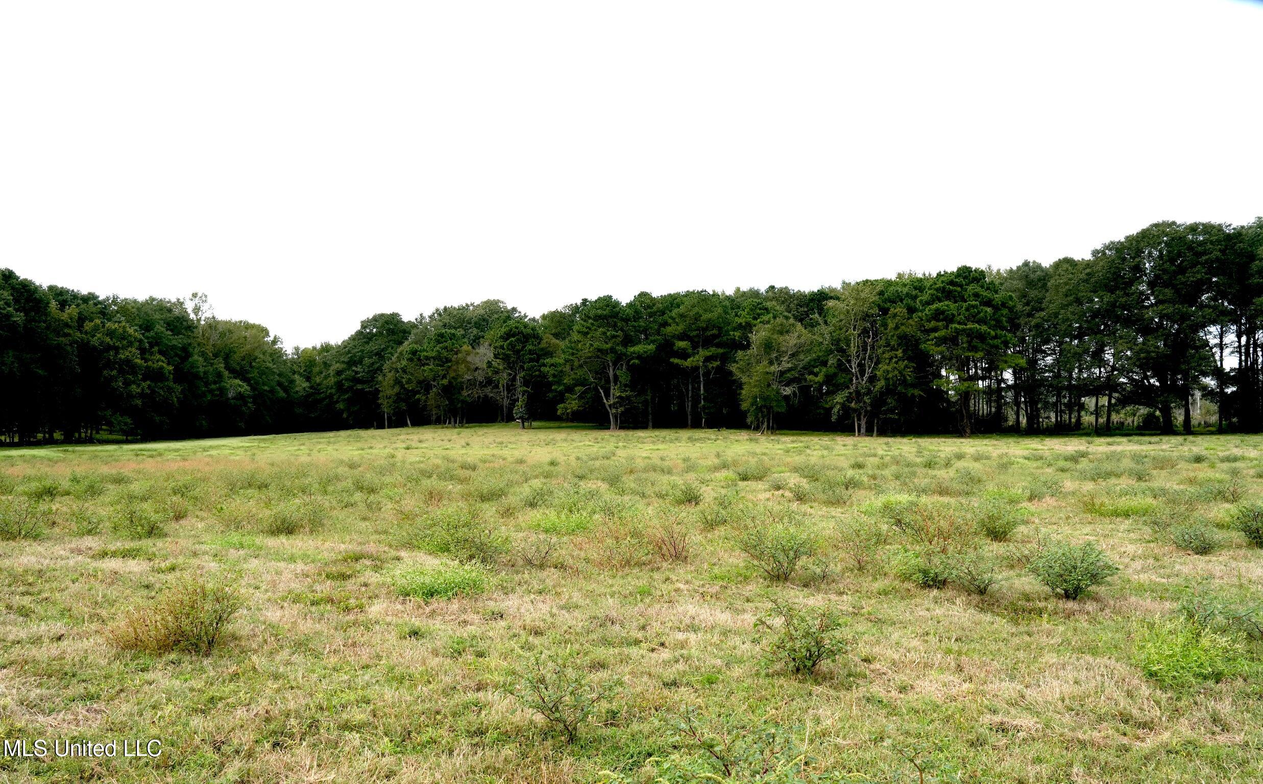 1074 Midway Odom Road Forest, MS 39074 - Photo 3 of 37 A83145A8-2ACF-4721-A6DD-FF680E1EF2EA