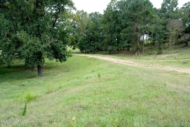 $527,650 | 1074 Midway Odom Road, Forest, MS 39074