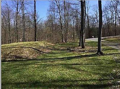 204 Alpine Road Henryville, PA 18332 - Photo 2 of 13 a view of a backyard of the house