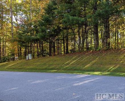 L15 Boiling Springs Road Sapphire, NC 28774 - Photo 1 of 5 Gallery Image 1