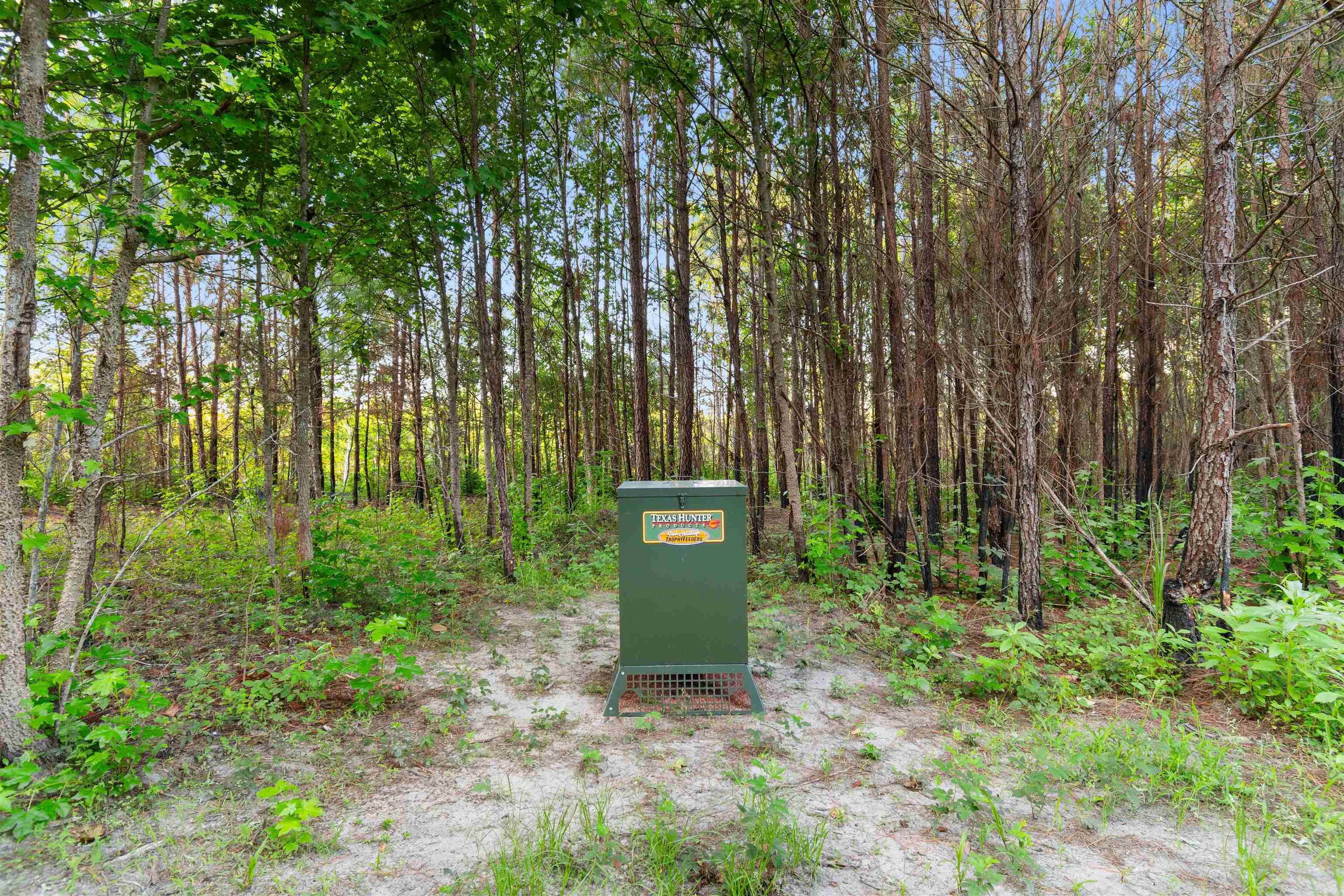 77-acres - Tbd Bert Hanna Road Hemingway, SC 29554 - Photo 13 of 28