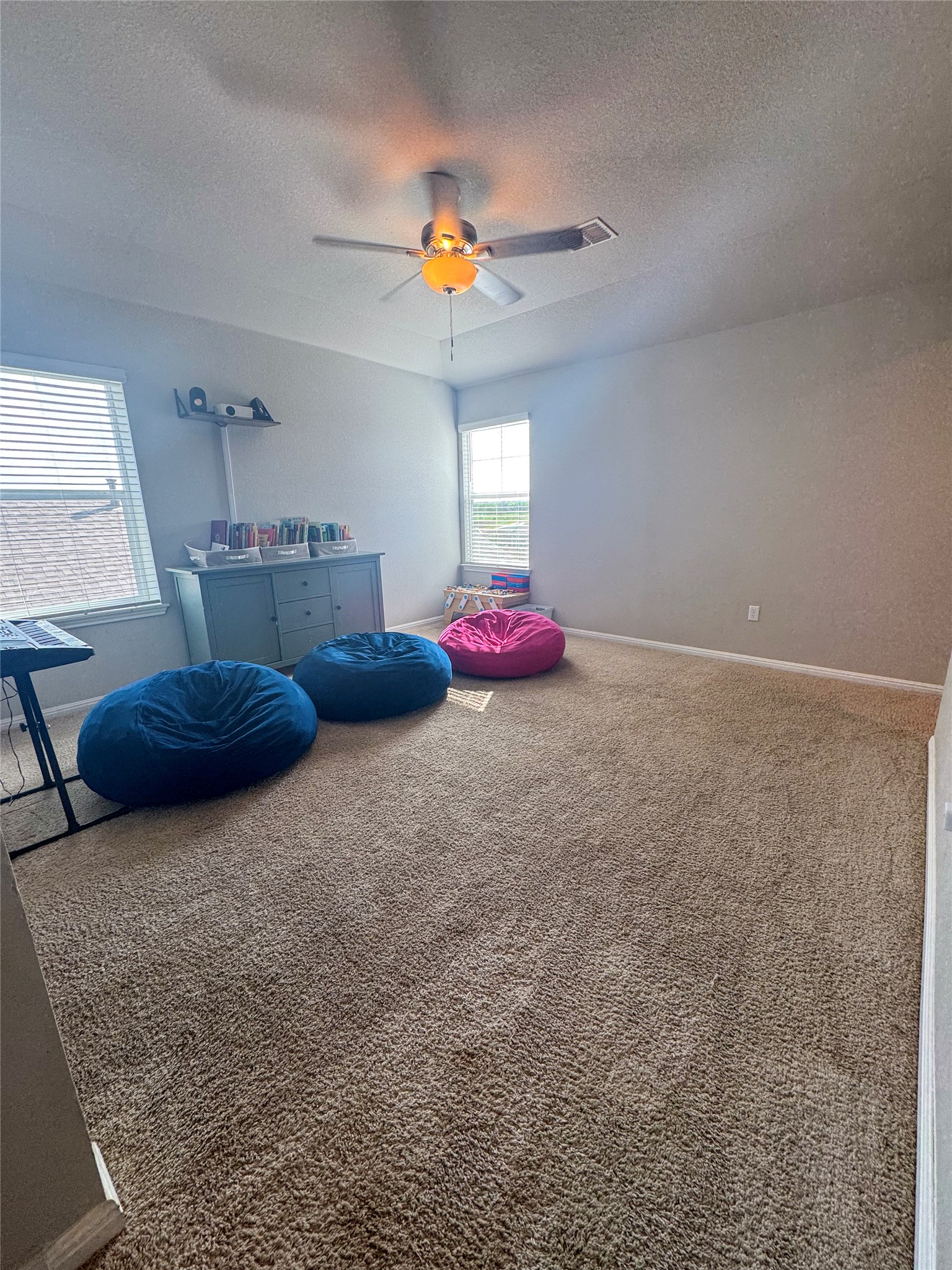 107 Hamilton Pool Lane Bastrop, TX 78602 - Photo 14 of 22 Upstairs living room with carpet and a ceiling fan.