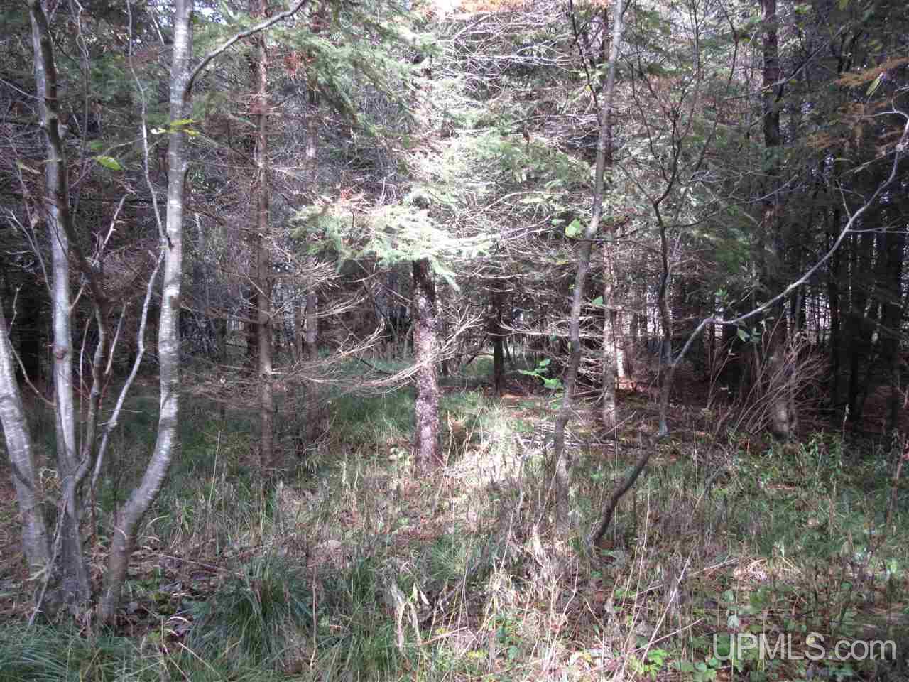 2744 Jackson Road Gulliver, MI 49840 - Photo 9 of 20 Gallery Image 9