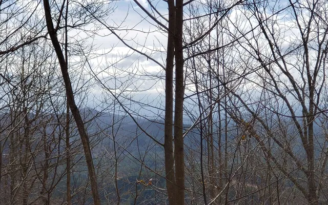 $69,900 | 35 Calvender Road, Turtletown, TN 37391