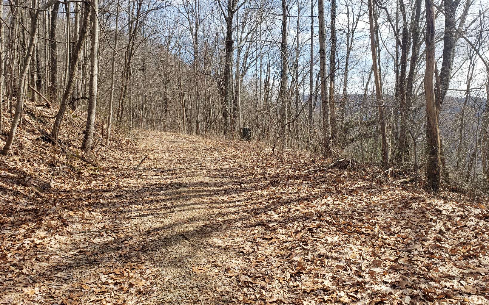 35 Calvender Road Turtletown, TN 37391 - Photo 11 of 14 a view of a backyard of the house