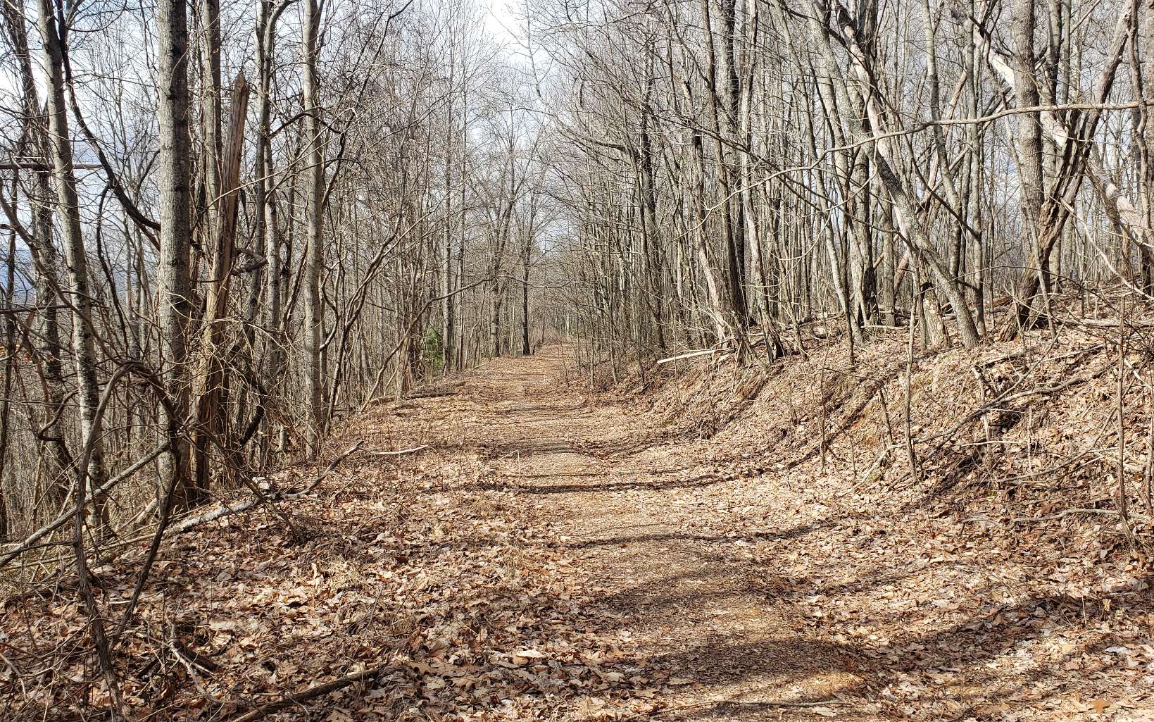 35 Calvender Road Turtletown, TN 37391 - Photo 12 of 14 a view of water covered with snow