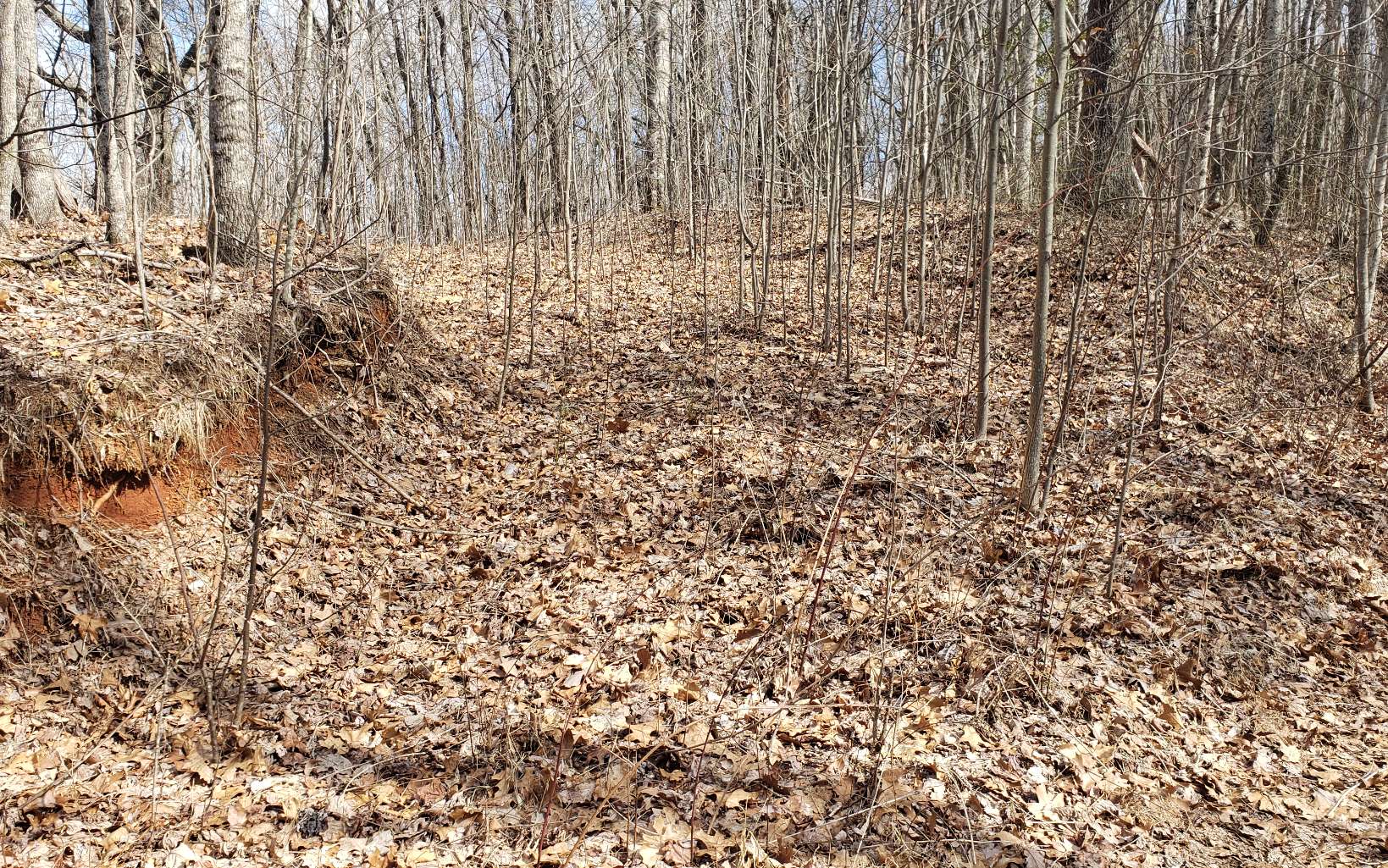 35 Calvender Road Turtletown, TN 37391 - Photo 14 of 14 a bathroom with a shower curtain
