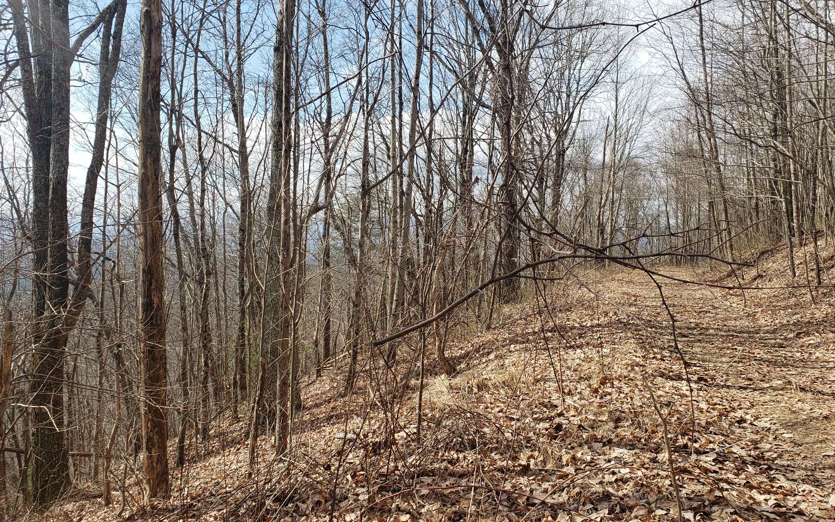 35 Calvender Road Turtletown, TN 37391 - Photo 4 of 14 a backyard of a house with lots of green space