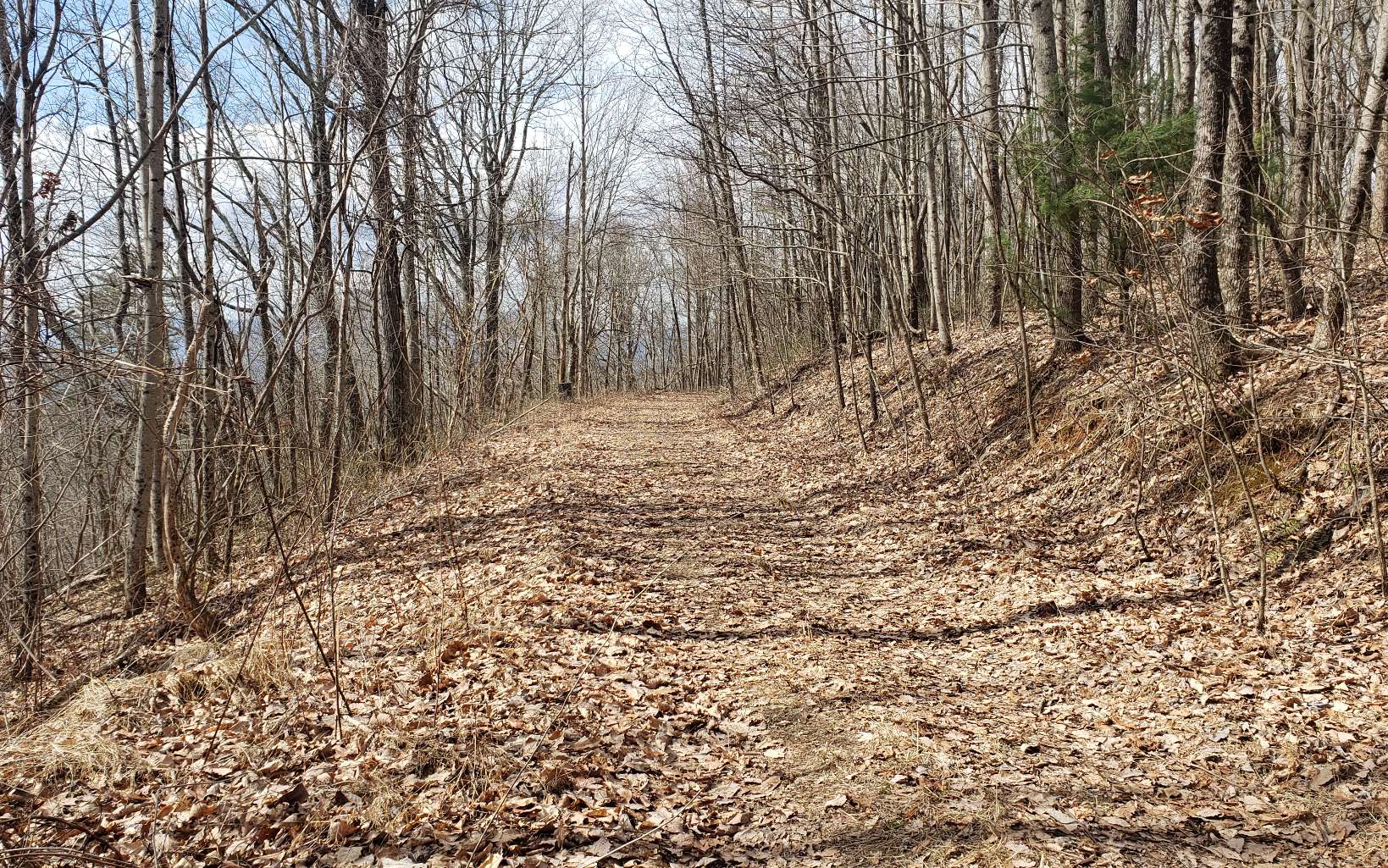 35 Calvender Road Turtletown, TN 37391 - Photo 5 of 14 a view of a yard with large trees
