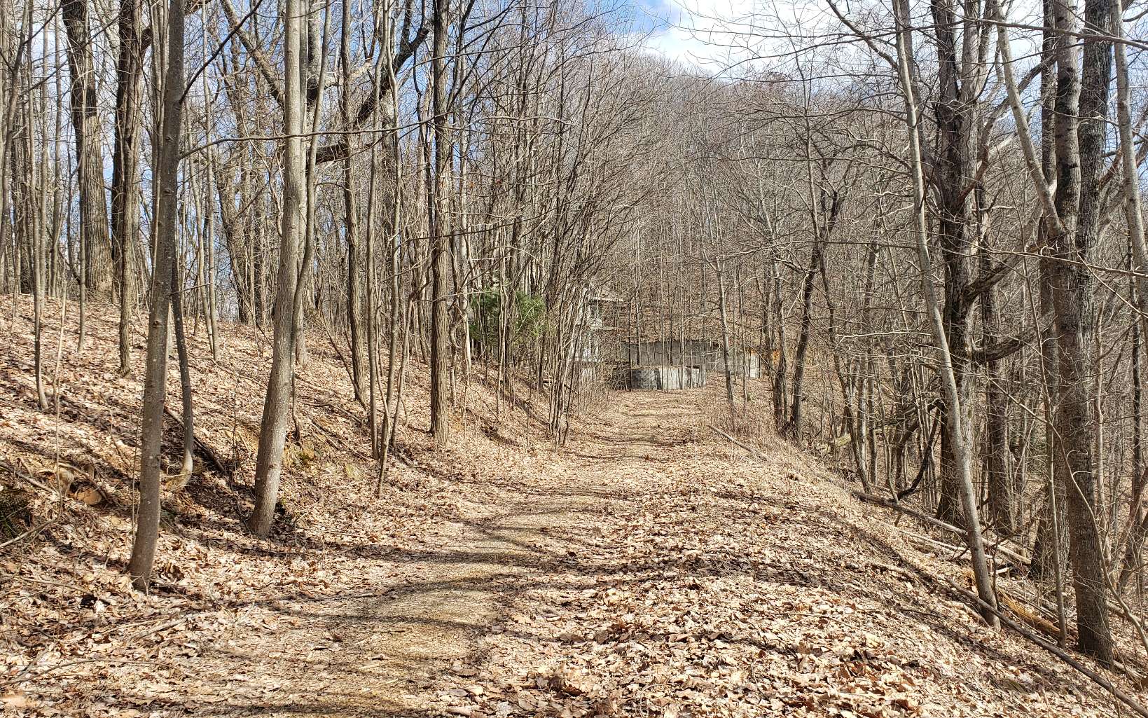 35 Calvender Road Turtletown, TN 37391 - Photo 6 of 14 a view of pathway covered with snow