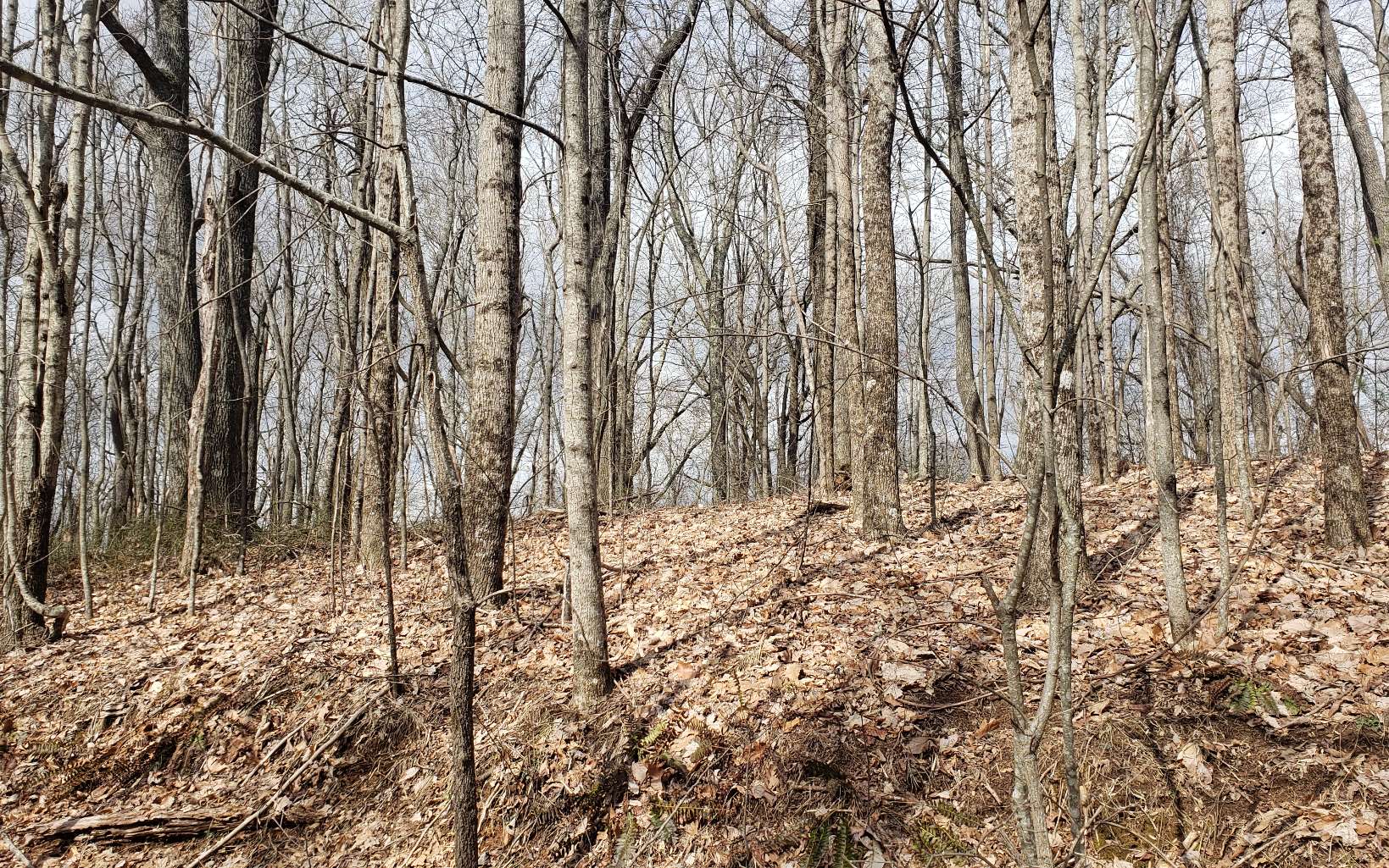 35 Calvender Road Turtletown, TN 37391 - Photo 8 of 14 a view of covered with snow
