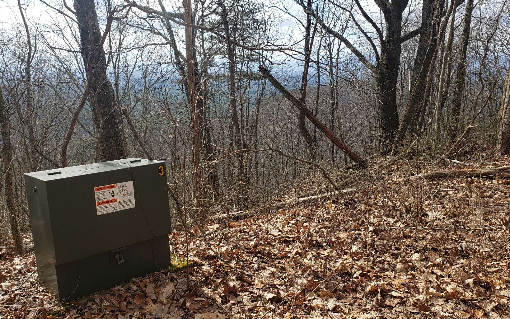 35 Calvender Road Turtletown, TN 37391 - Photo 9 of 14 a view of a yard with trees