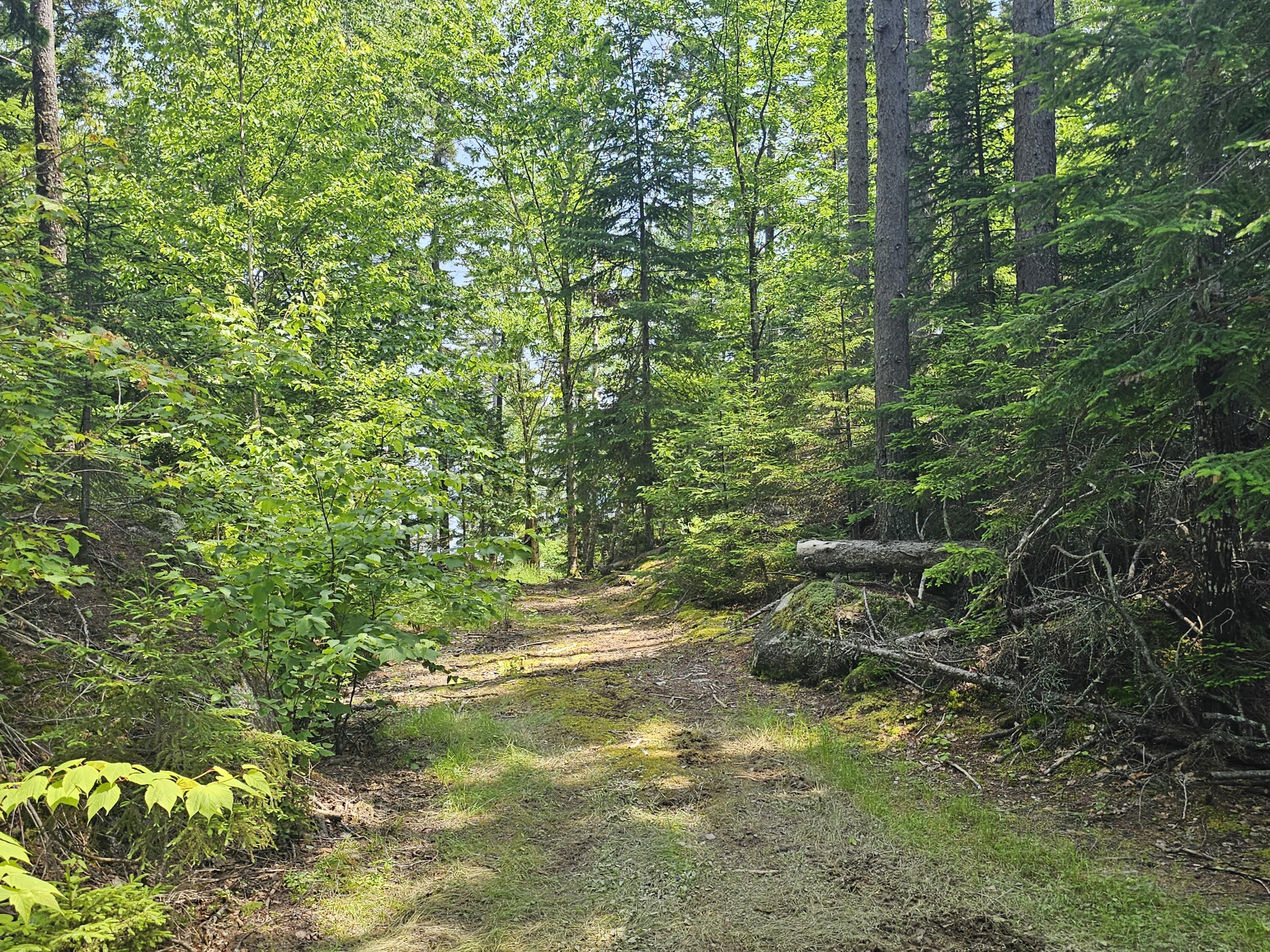 Lot 7 Boulder Road Danforth, ME 04424 - Photo 5 of 6 20230706_111633