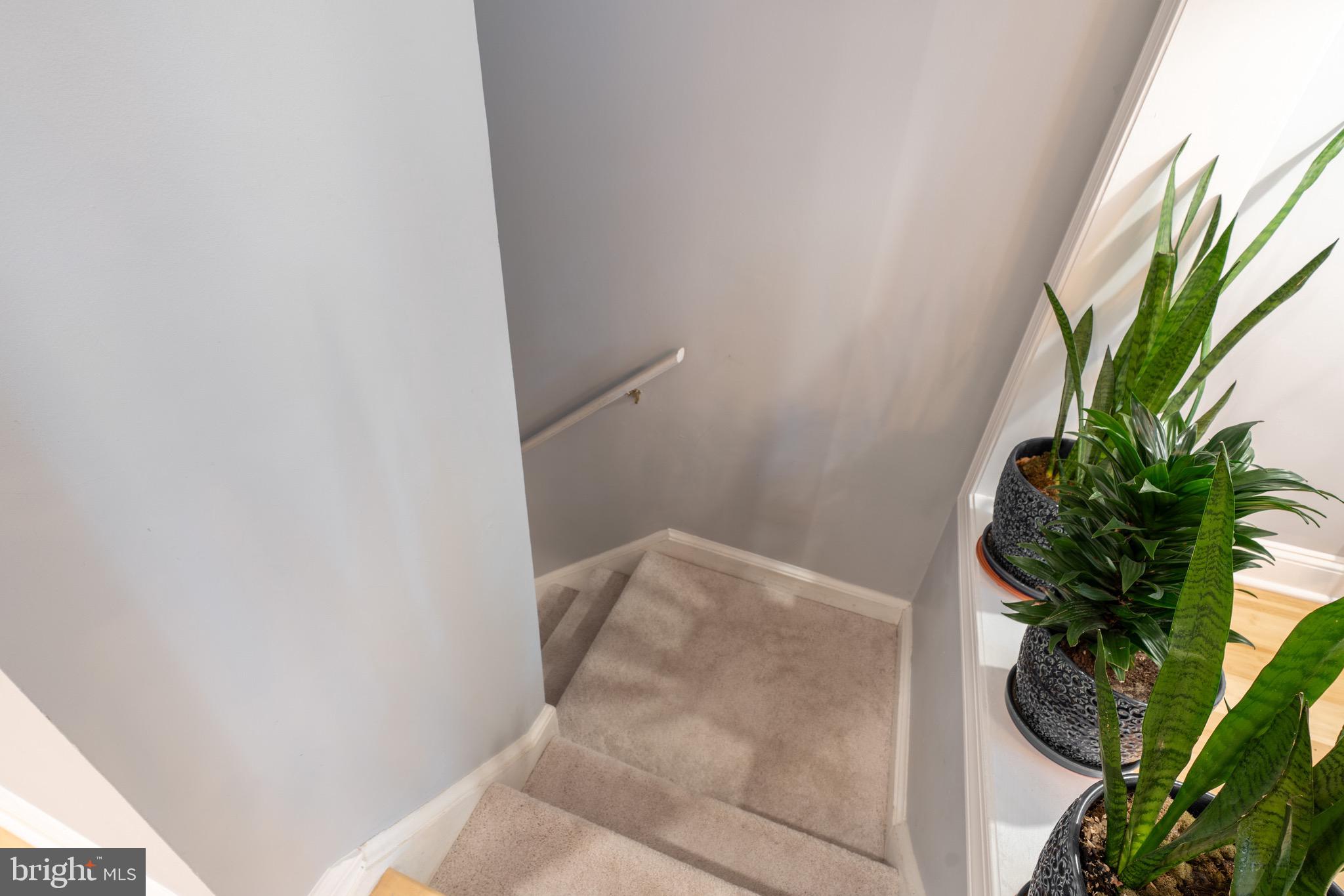 1656 Valencia Way Reston, VA 20190 - Photo 42 of 50 Going downstairs to the LL