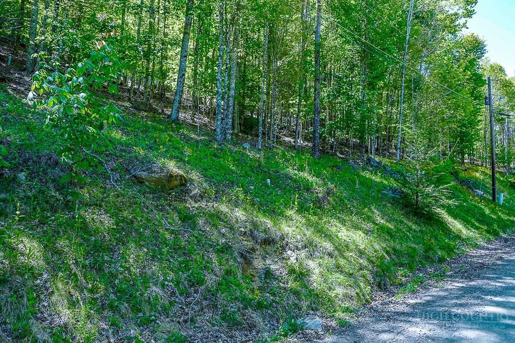 241 Lakeledge Road Beech Mountain, NC 28604 - Photo 2 of 21 a view of a lush green forest