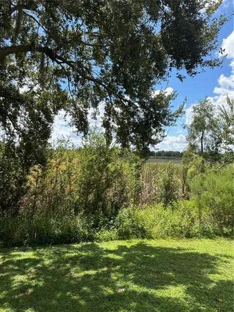 a view of a green field with plants