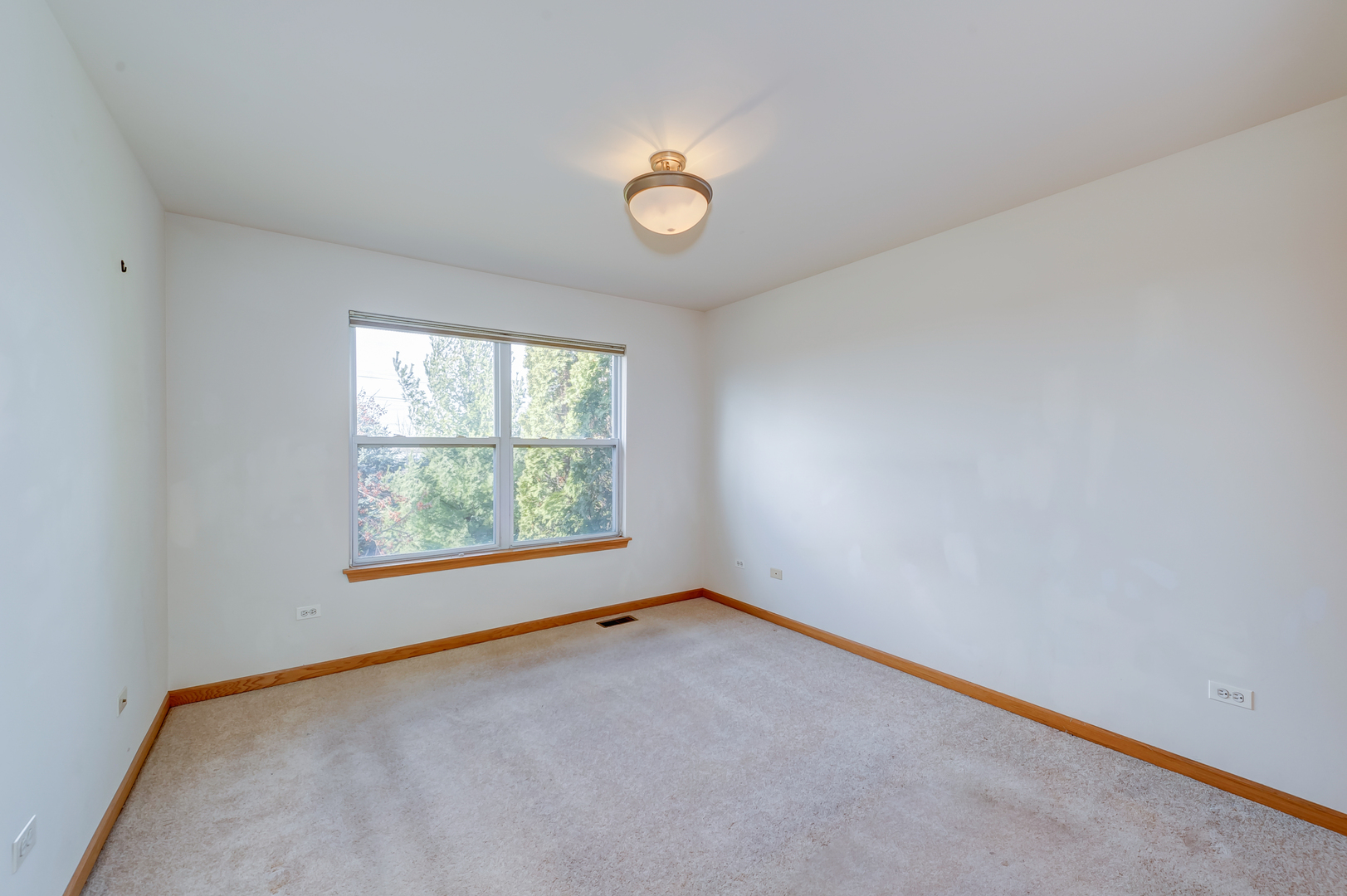 392 Littleton Trail Elgin, IL 60120 - Photo 17 of 37