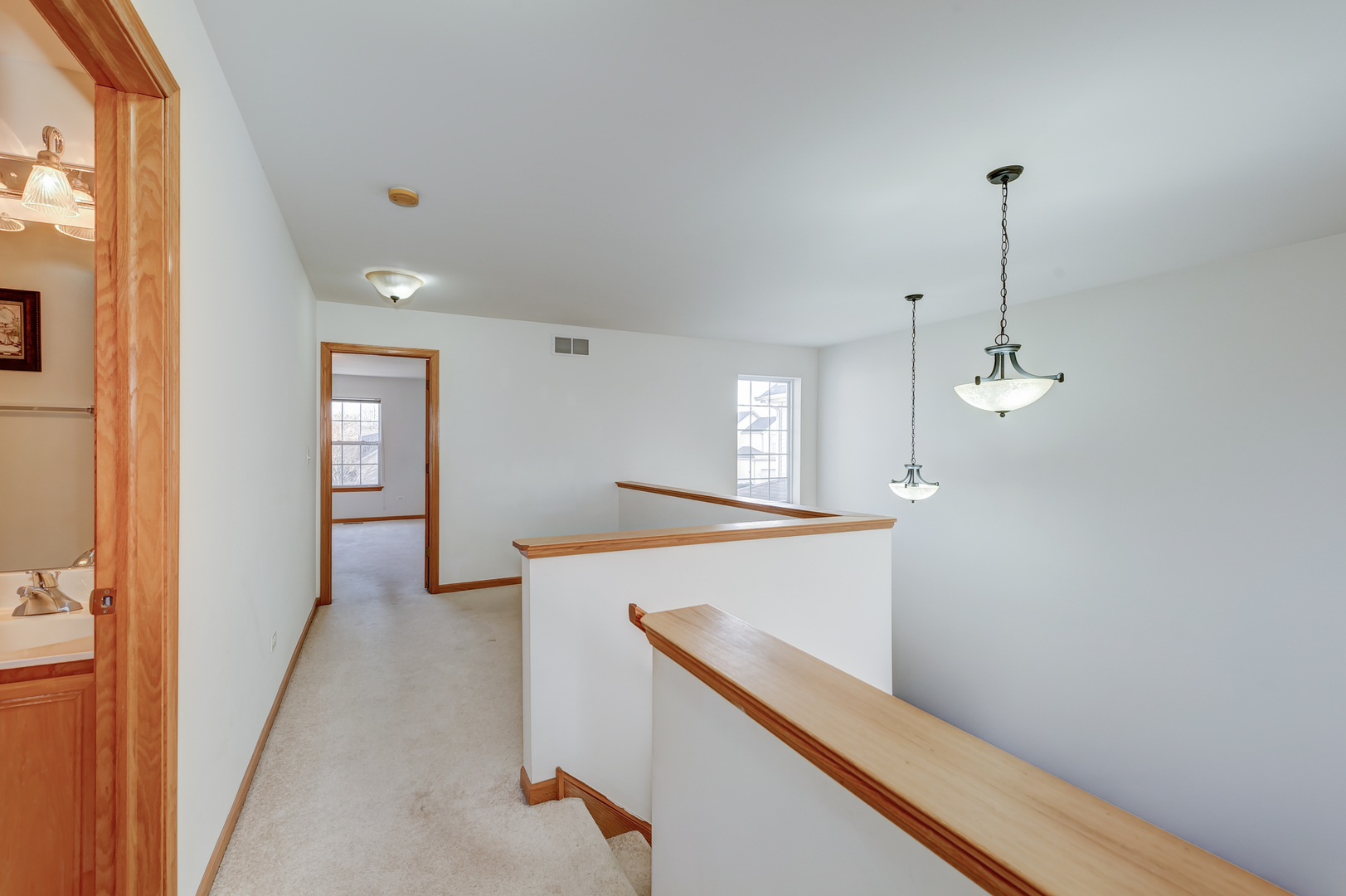 392 Littleton Trail Elgin, IL 60120 - Photo 19 of 37