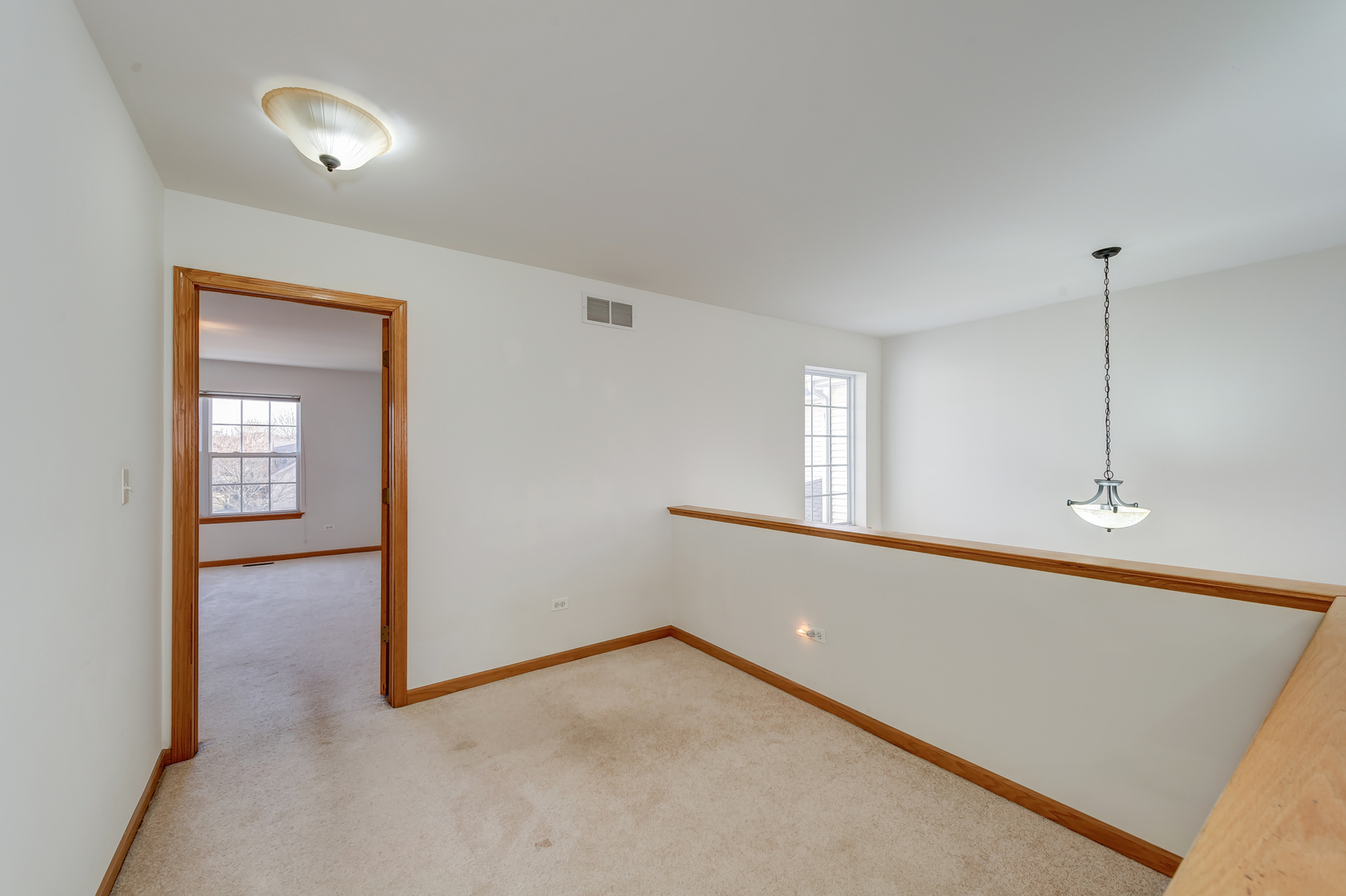 392 Littleton Trail Elgin, IL 60120 - Photo 21 of 37