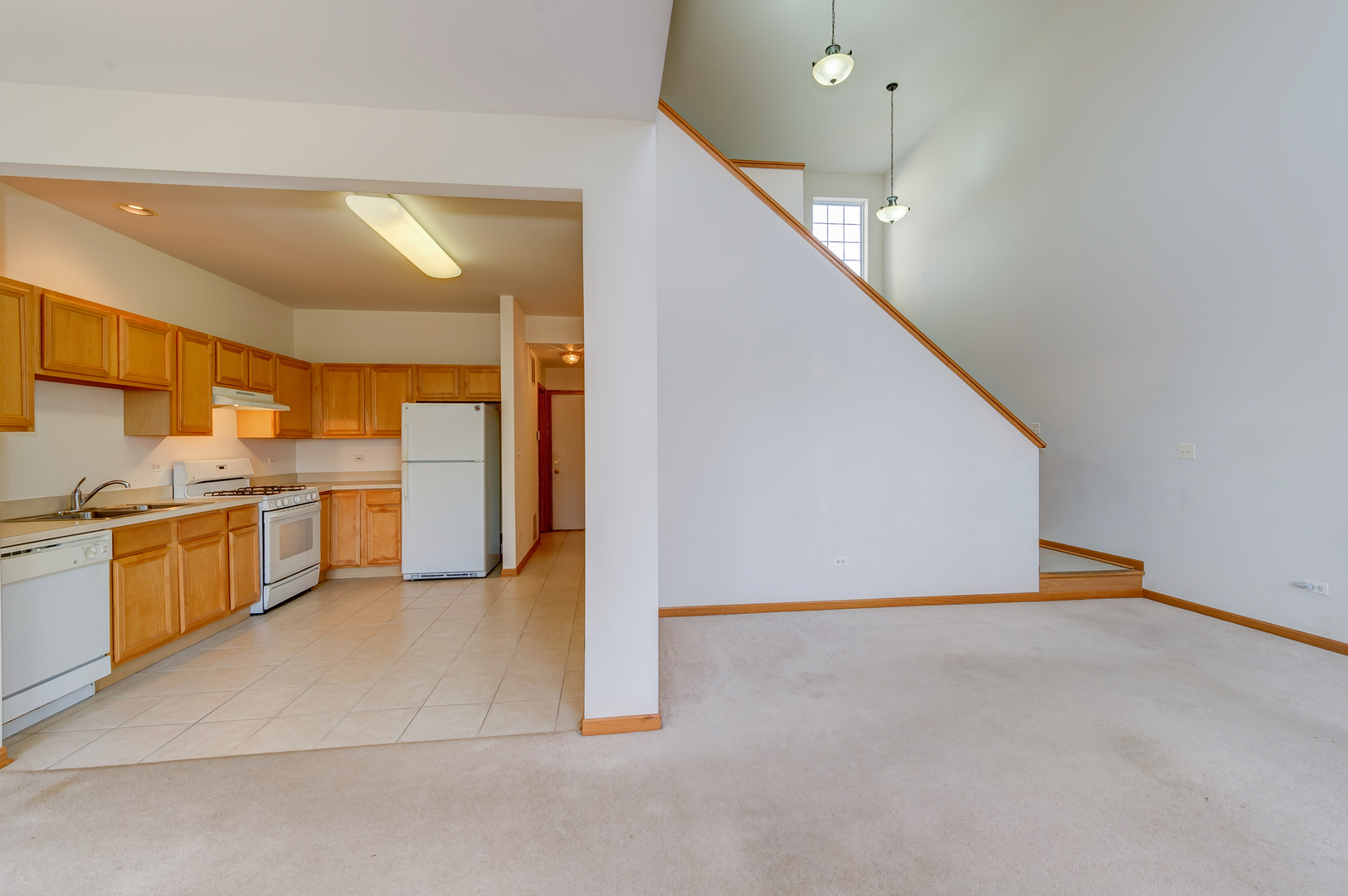 392 Littleton Trail Elgin, IL 60120 - Photo 7 of 37