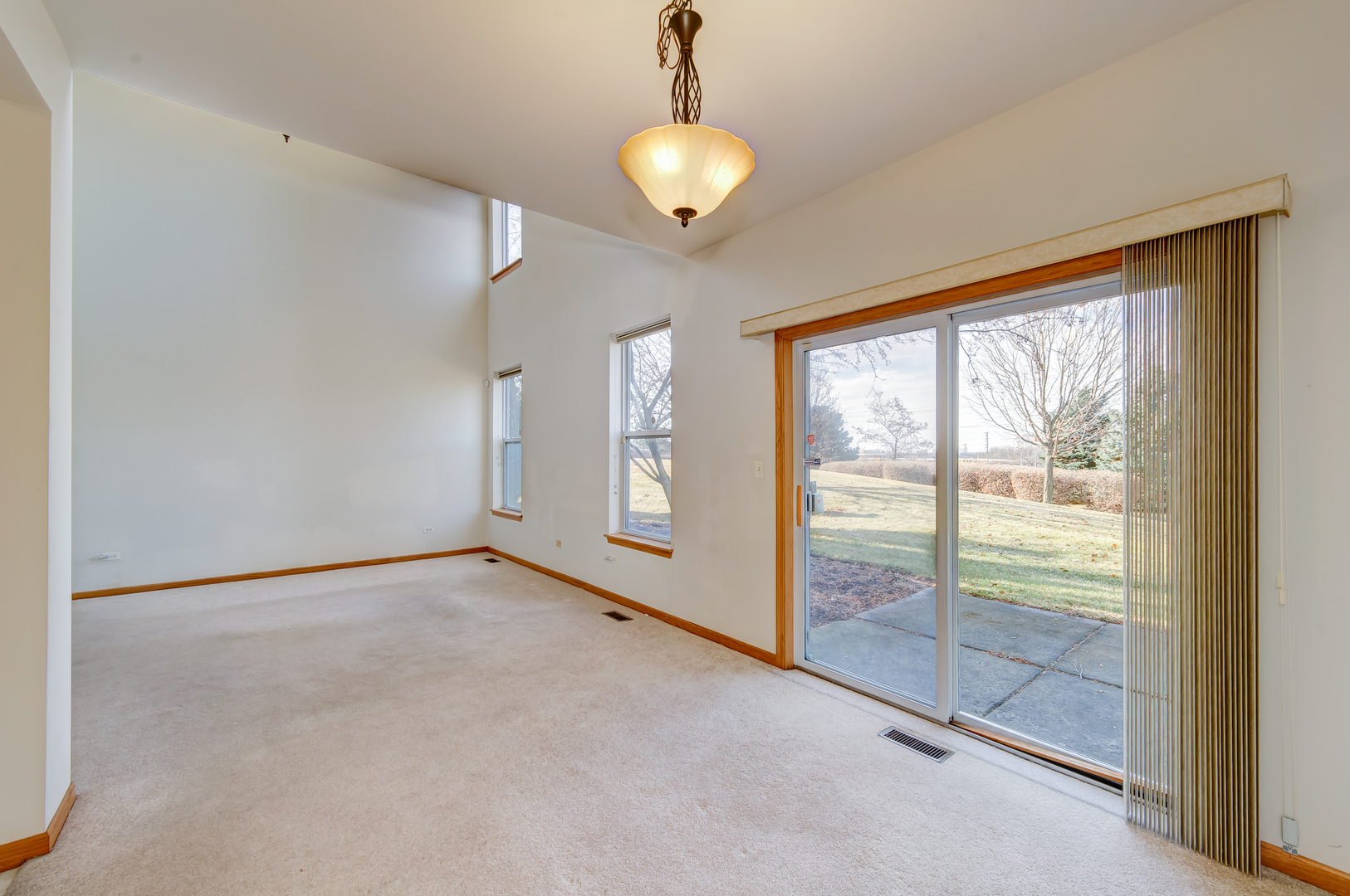 392 Littleton Trail Elgin, IL 60120 - Photo 9 of 37