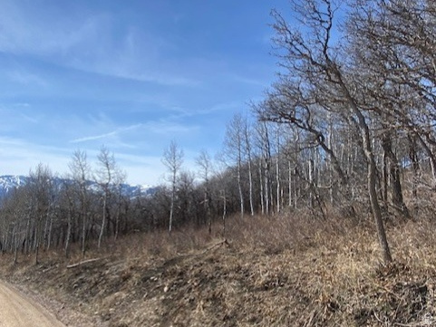 2604 South Forest Meadow Road, Unit C82 Coalville, UT 84017 - Photo 27 of 27 View of local wilderness