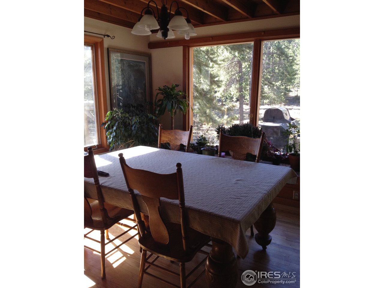 2872 Ridge Road Nederland, CO 80466 - Photo 6 of 15