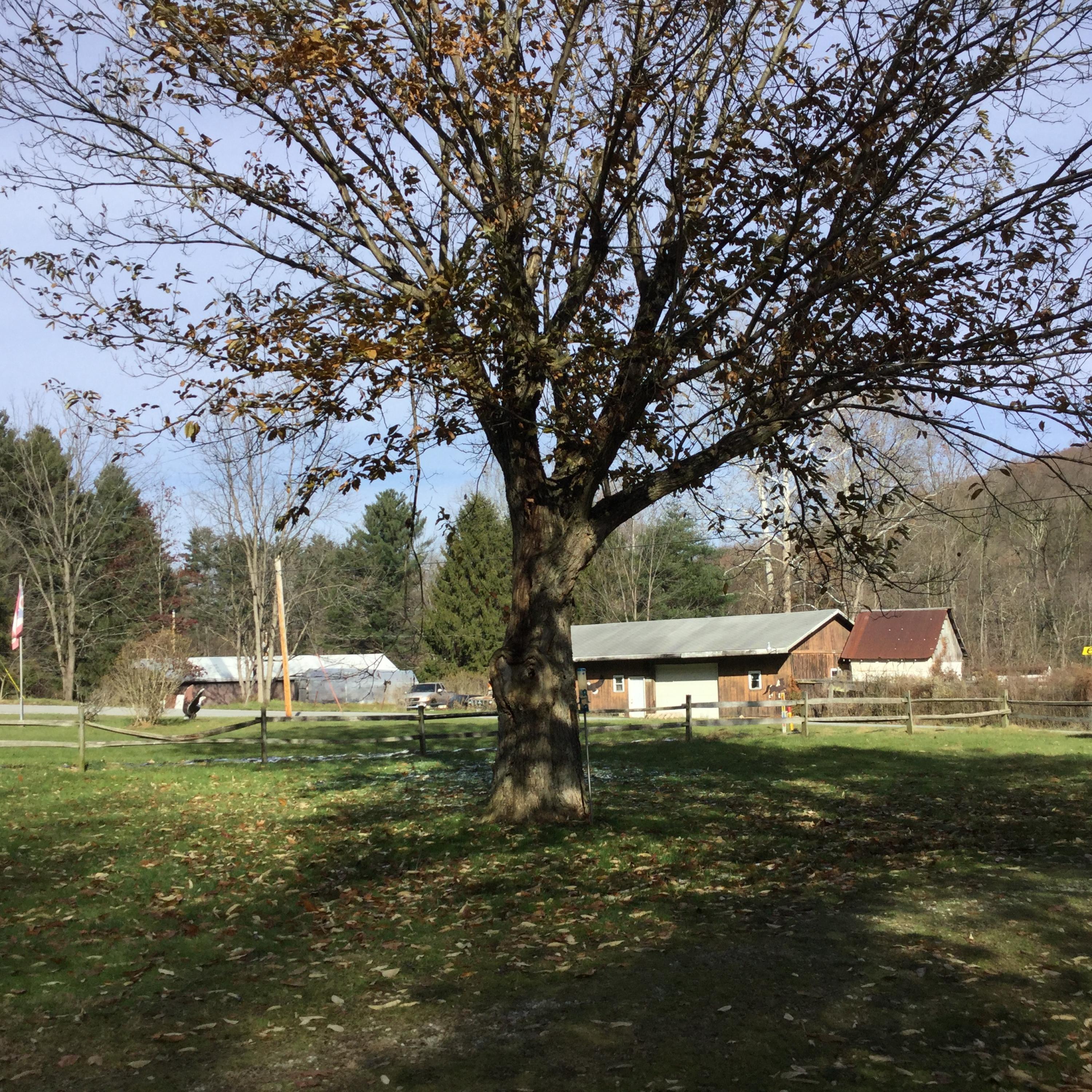 13126 Houdeshell Road Newark, OH 43055 - Photo 24 of 27 Gallery Image 24