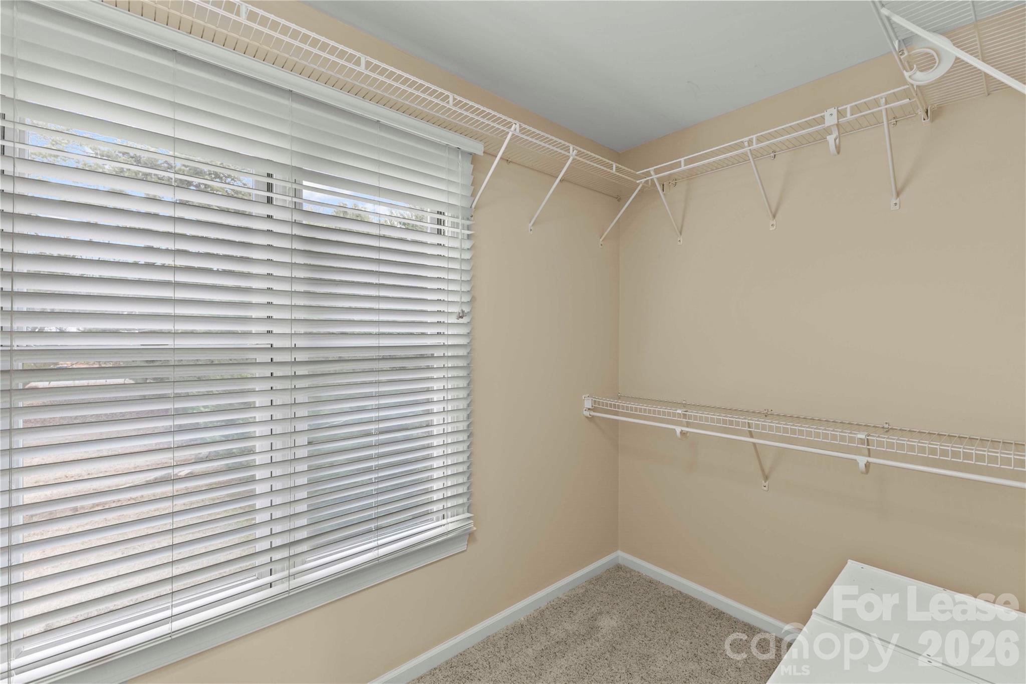 21502 Rio Oro Drive Cornelius, NC 28031 - Photo 18 of 46