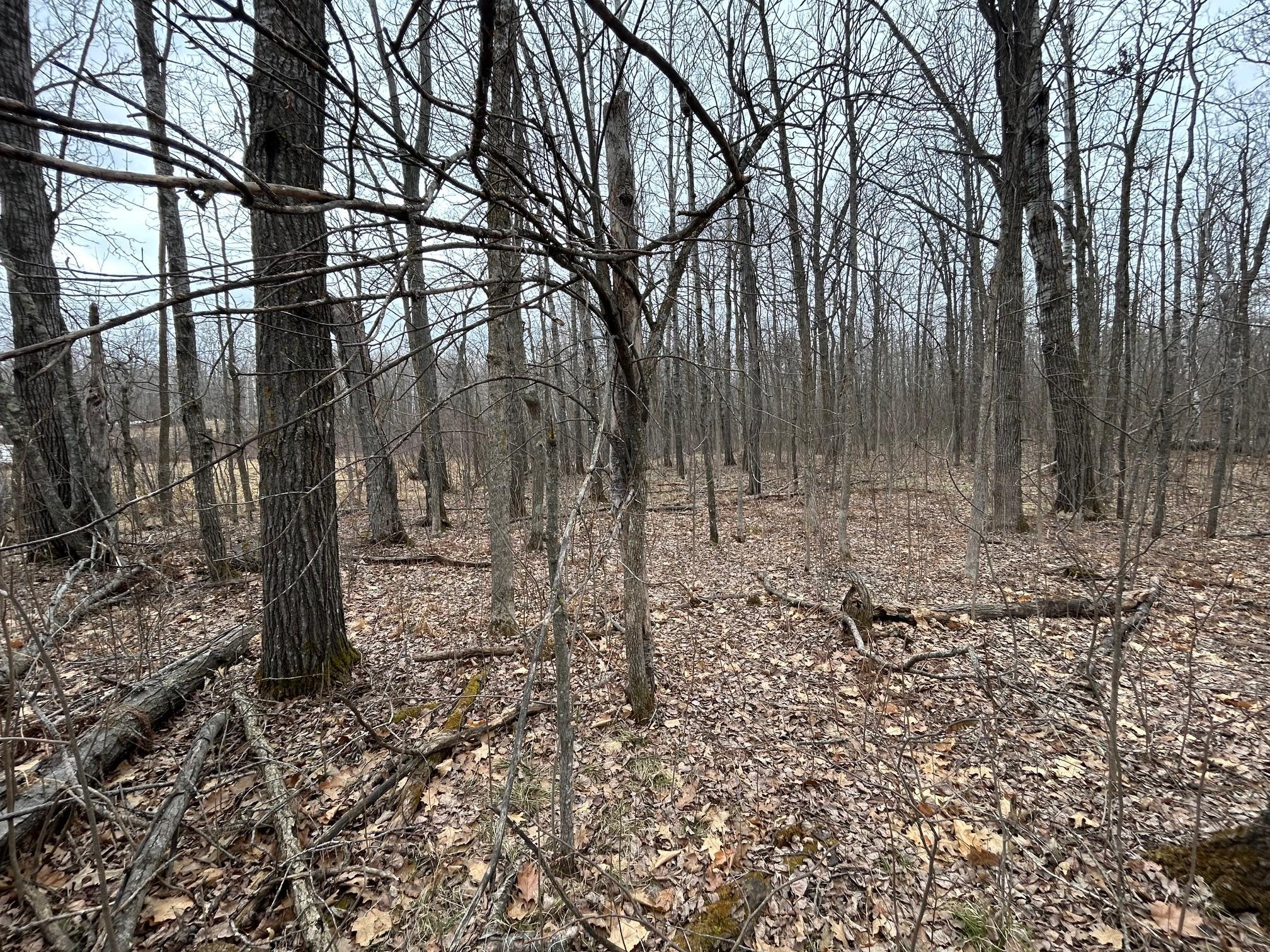 5814 36th Street Northwest Hackensack, MN 56452 - Photo 12 of 14