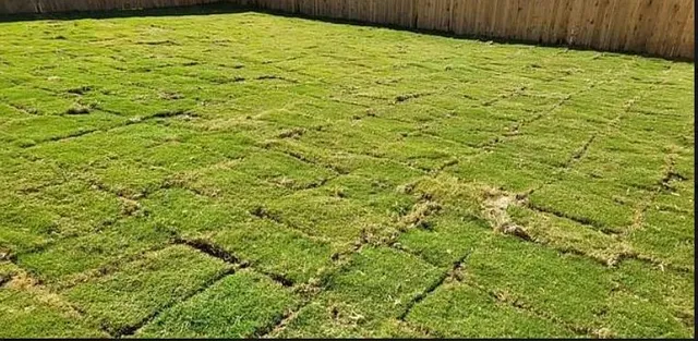 $1,800 | 3012 Shore Lark, New Braunfels, TX 78130