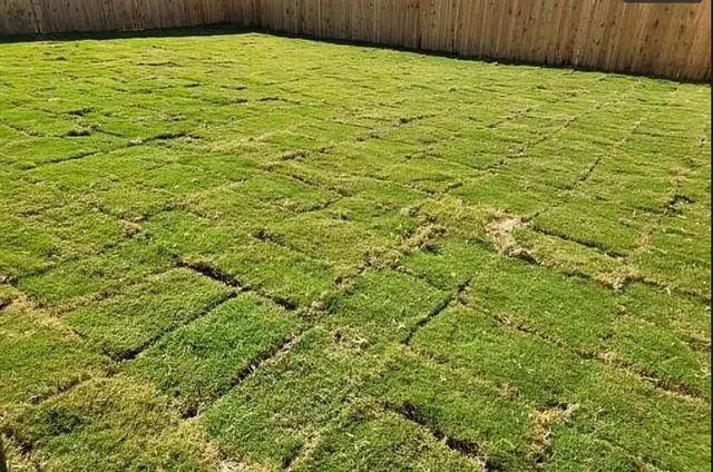 $1,800 | 3012 Shore Lark, New Braunfels, TX 78130