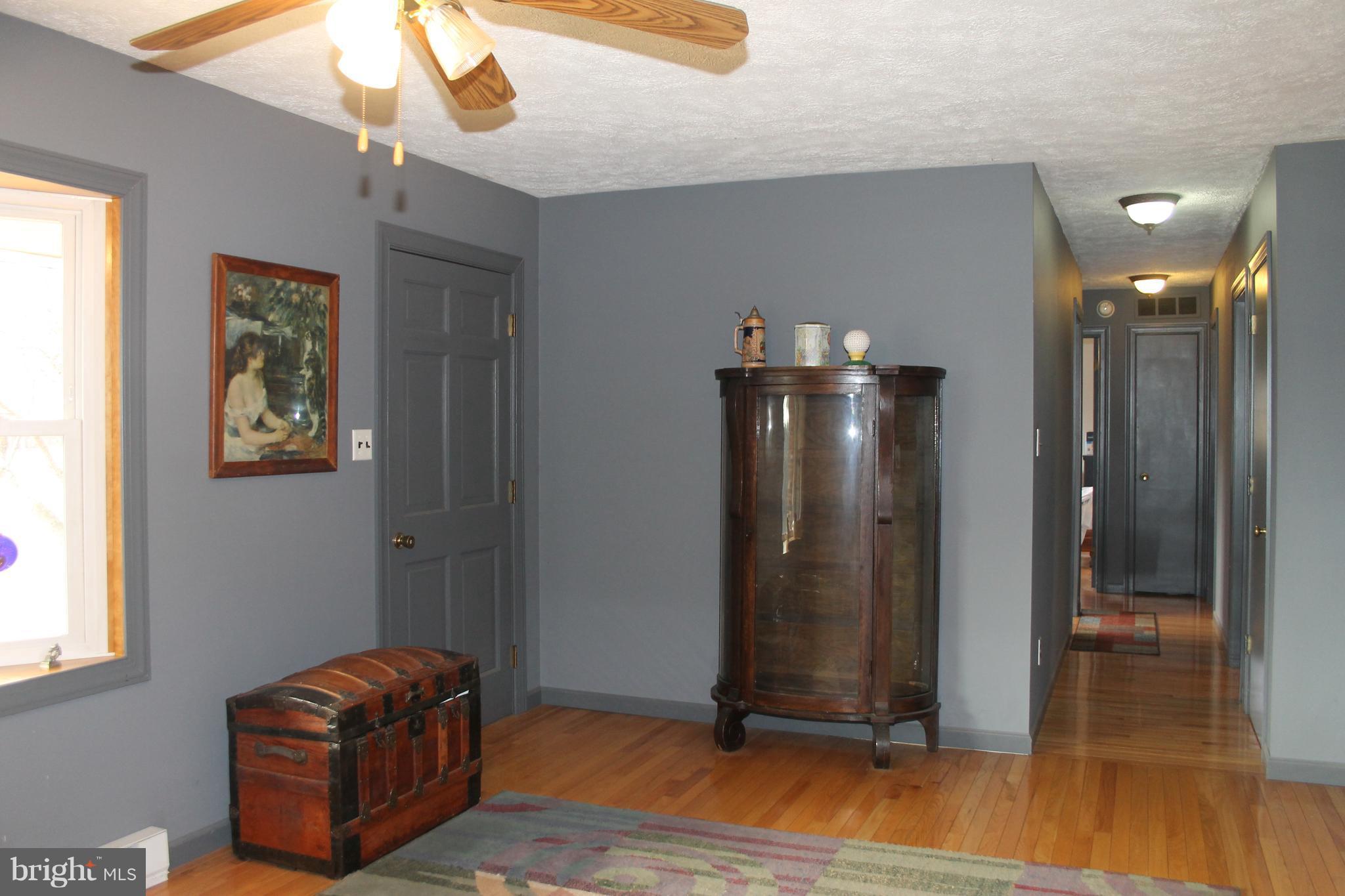 64 Castle Mountain Road Castleton, VA 22716 - Photo 10 of 29 Living Room with wood floor and ceiling fan