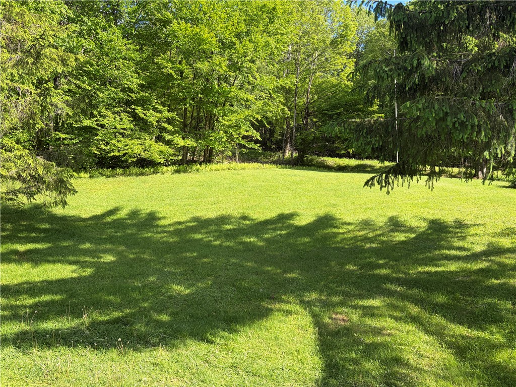559 Mott Hill Road Edmeston, NY 13335 - Photo 40 of 40