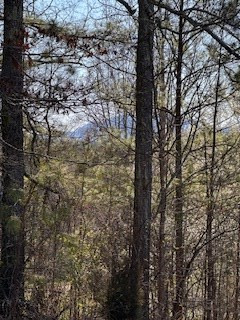 0 Sugar Maple Road Murphy, NC 28906 - Photo 3 of 7