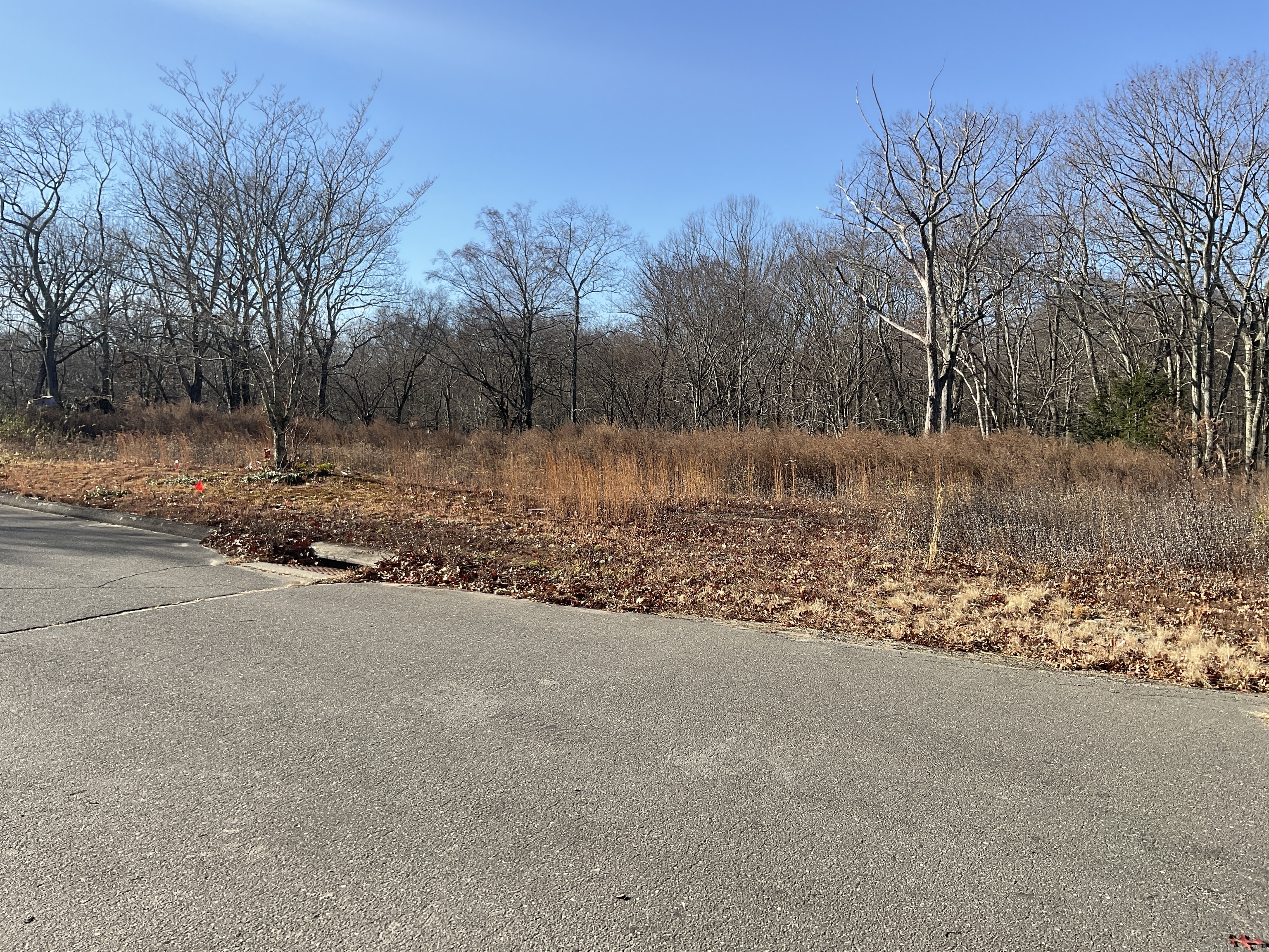 6 Vona Way Newtown, CT 06470 - Photo 2 of 2 a view of a street view
