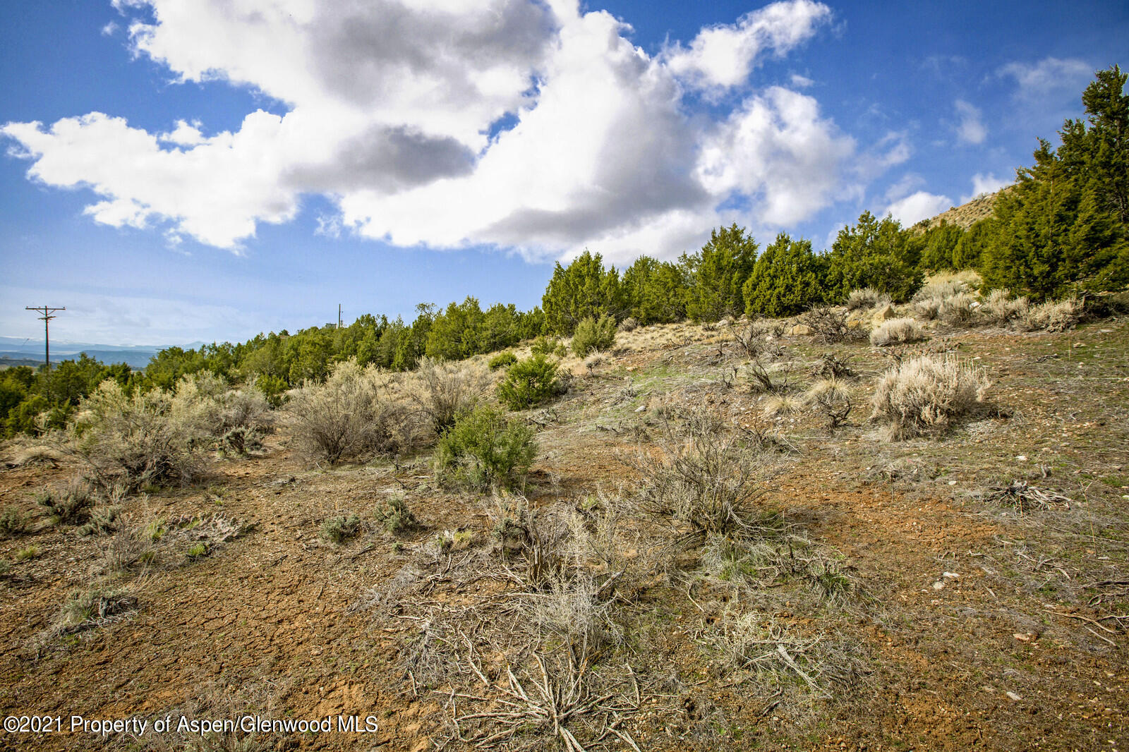 Tbd Mesa Drive Rifle, CO 81650 - Photo 7 of 19 a view of a bunch of trees and houses