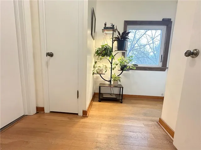 a bedroom with a bed and a potted plant