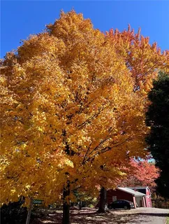 $444,800 | 3933 Hardt Drive, Gibsonia, PA 15044