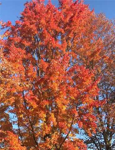 $444,800 | 3933 Hardt Drive, Gibsonia, PA 15044