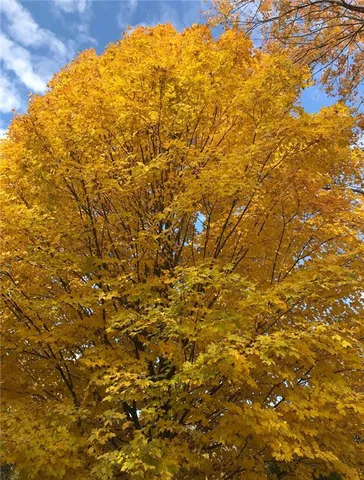 $444,800 | 3933 Hardt Drive, Gibsonia, PA 15044