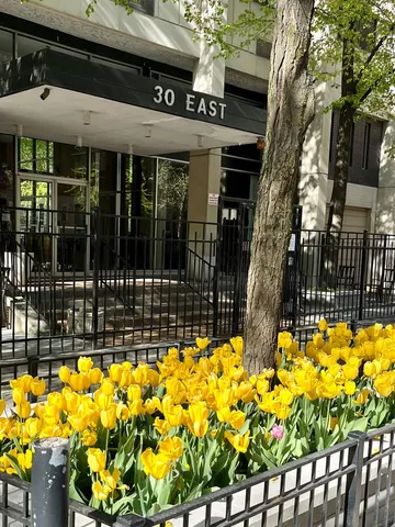 a view of a building with a potted plant
