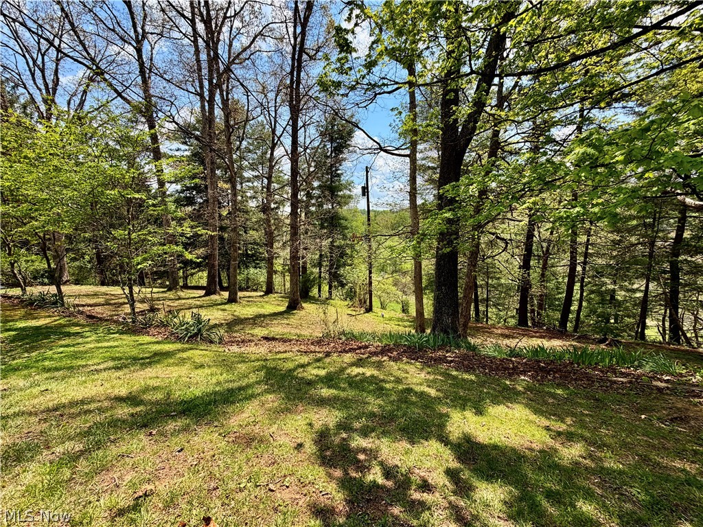 2163 Bull Run Road Waverly, WV 26184 - Photo 39 of 47