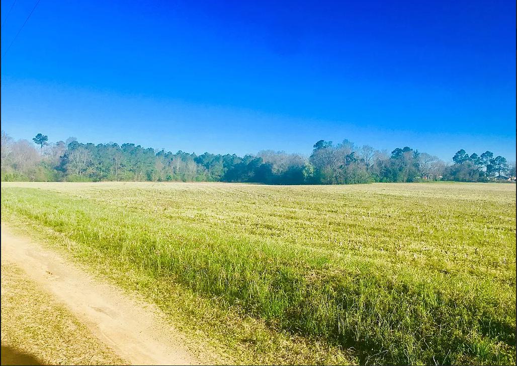 301 Martin Road North, SC 29112 - Photo 6 of 7 6