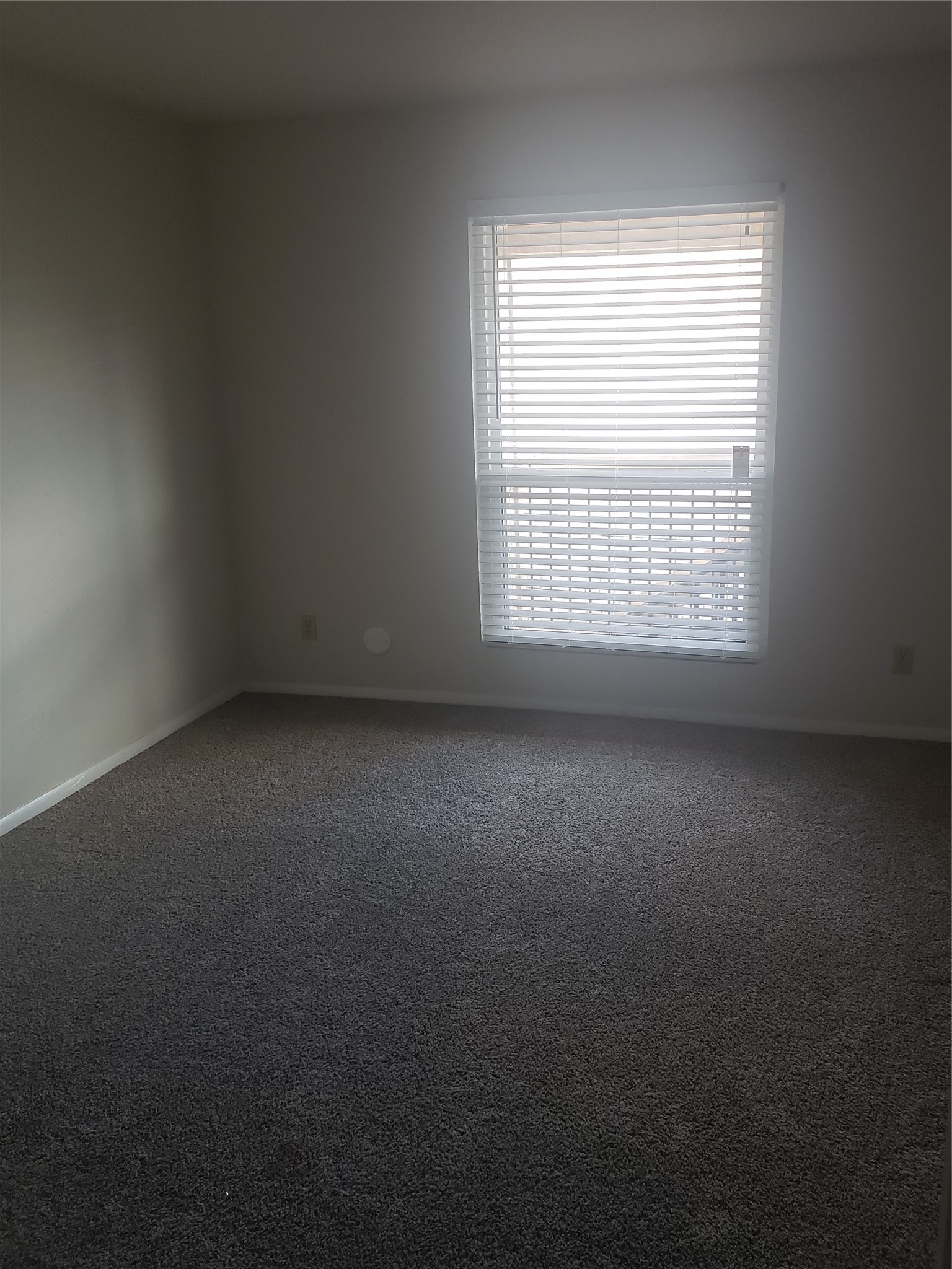 16120 Stuebner Airline Road, Unit 603 Spring, TX 77379 - Photo 18 of 19 an empty room with a window