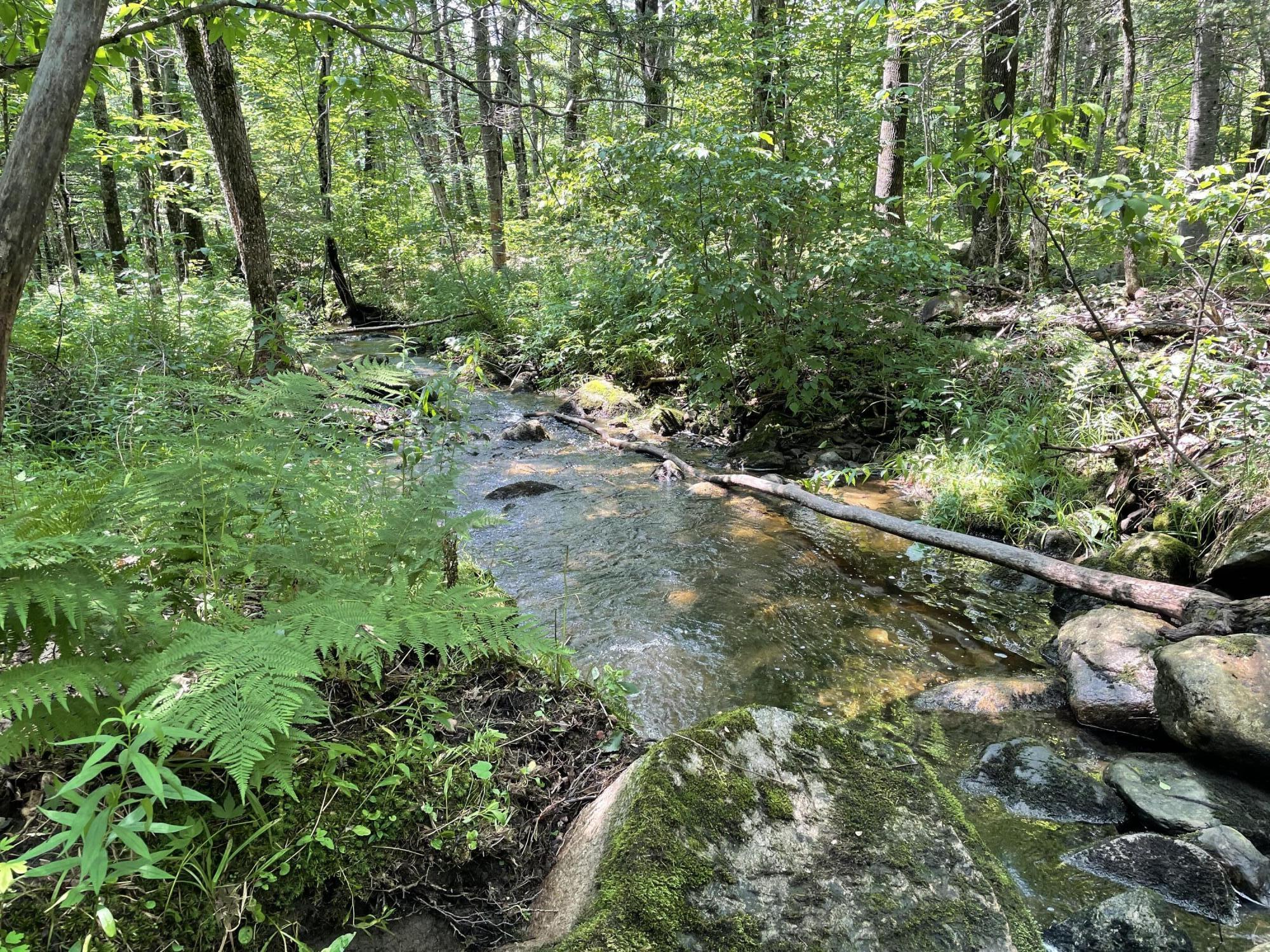 53.1 Center Hill Road Weld, ME 04285 - Photo 11 of 12 IMG_3440