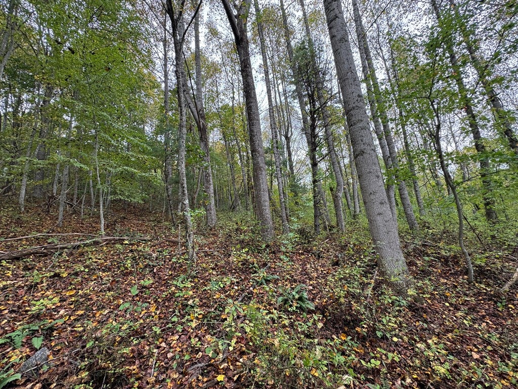 Tbd Soap Ridge Road Dugspur, VA 24325 - Photo 12 of 18 Gallery Image 12