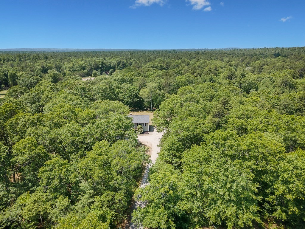 68 Bullock Road Freetown, MA 02717 - Photo 3 of 32 a view of a forest with a street