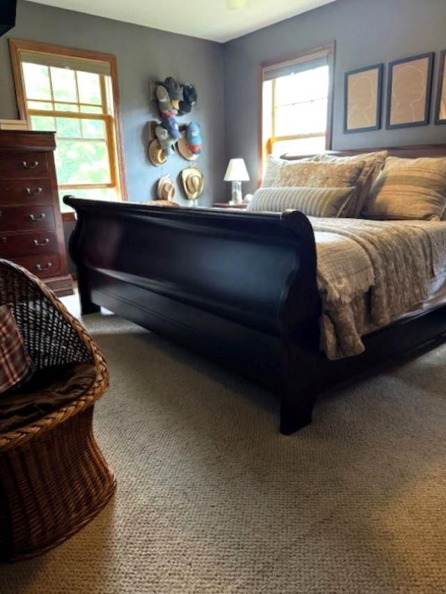 95 Jay Drive Bristol, VT 05443 - Photo 7 of 22