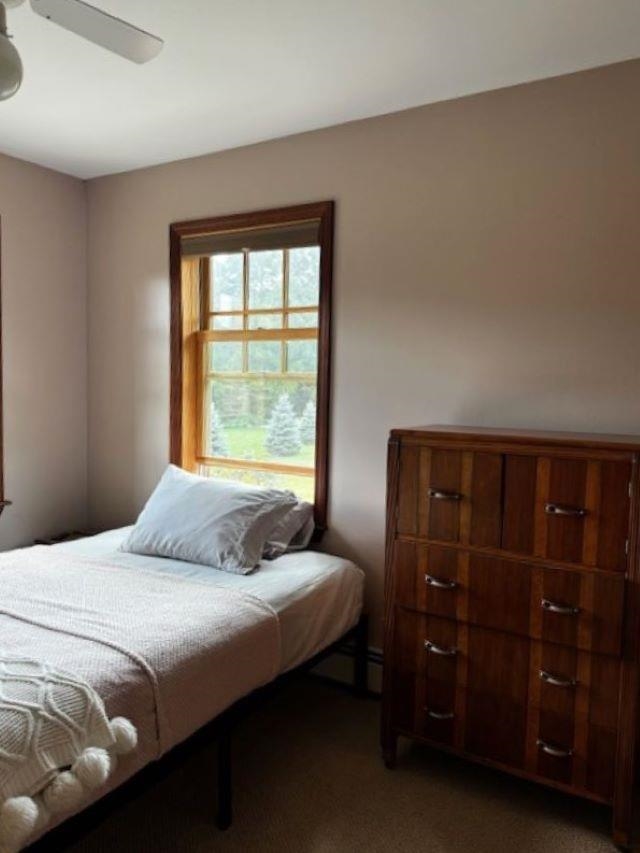 95 Jay Drive Bristol, VT 05443 - Photo 10 of 22